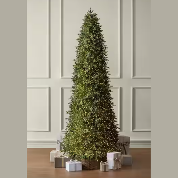 Home Decorators Collection 12 Ft. Elegant Twinkling Grand Fir LED Pre-Lit Artificial Christmas Tree with Timer NEW
