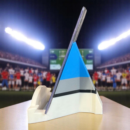 3D printed Detroit Lions card stand.