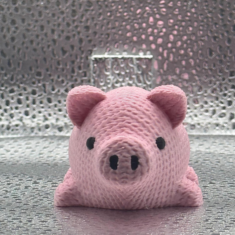 3D Printed Knitted Pig - Oinking all the way home.