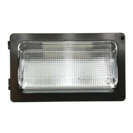 NEW Rab W34-55L 5000K LED Wallpack Dimmable Lumens LOT 4372.