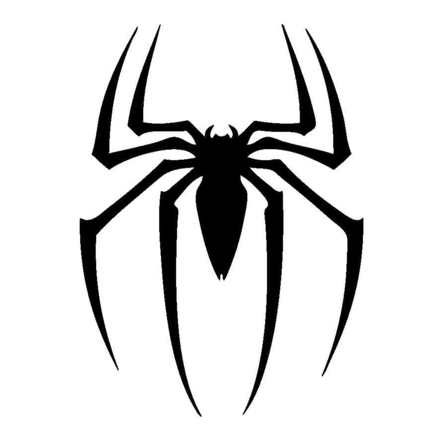 DIY Art Project Paint Reusable Stencil Silhouette - Spider